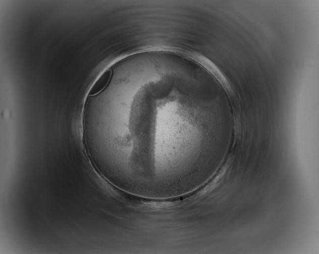 X0000100481244200806131224