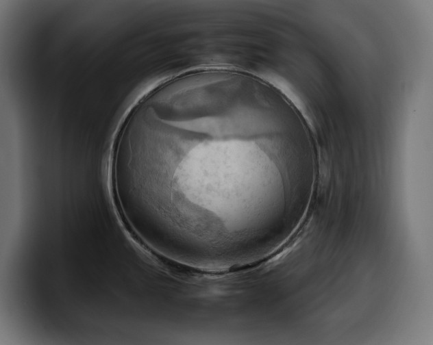 X0000100481245200806131224
