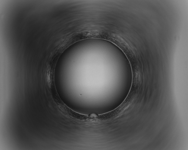 X0000100481250200806131223