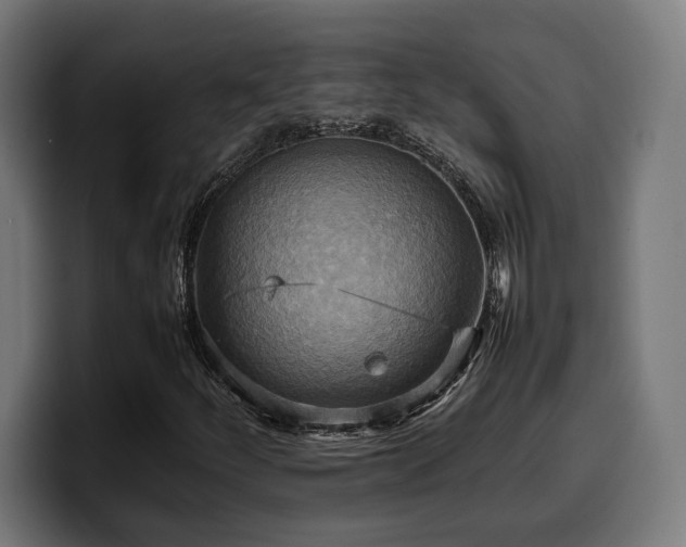 X0000100481252200806131223