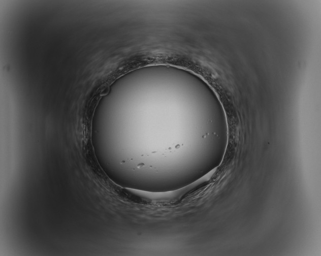 X0000100481253200806131223