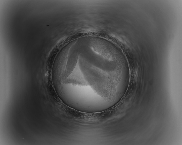 X0000100481254200806131223