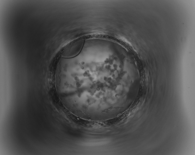 X0000100481255200806131223