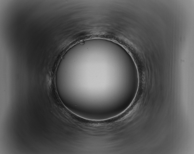 X0000100481257200806131223