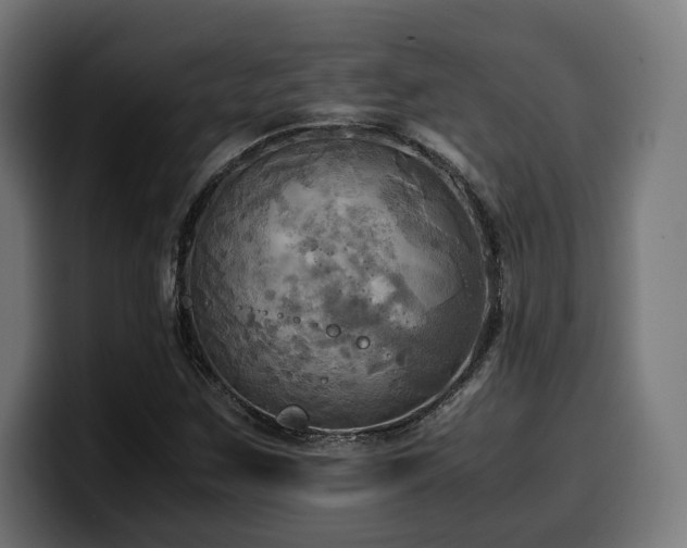 X0000100481259200806131223