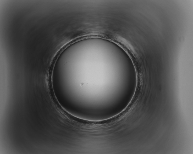 X0000100481260200806131223