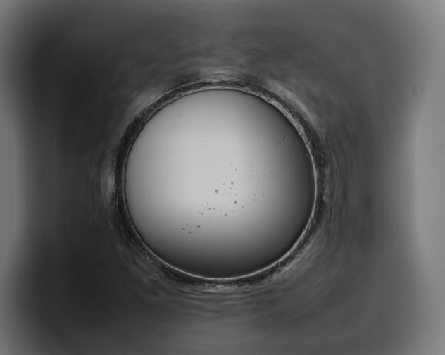 X0000100481261200806131223
