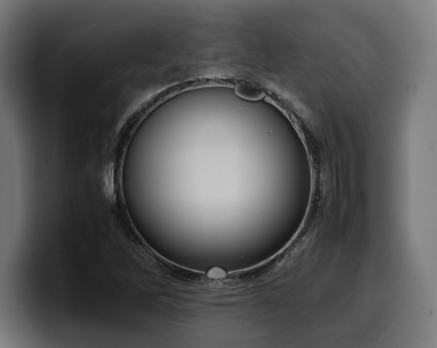 X0000100481262200806131223