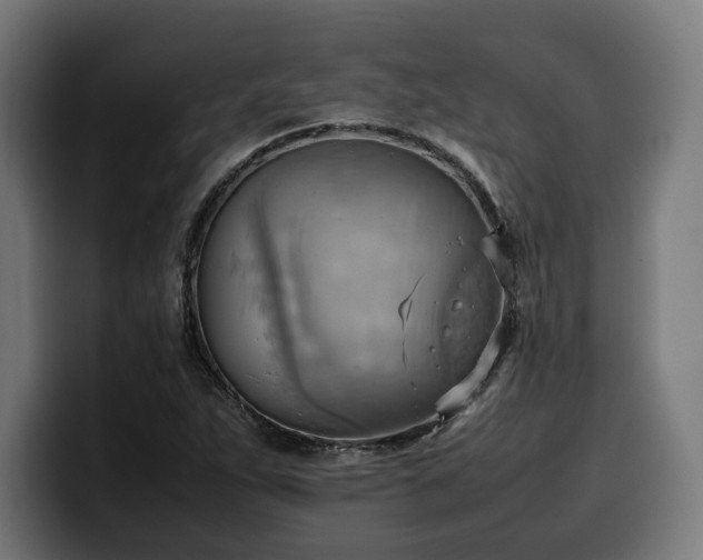 X0000100481263200806131223