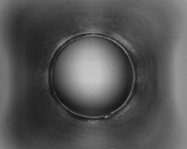 X0000100481264200806131223