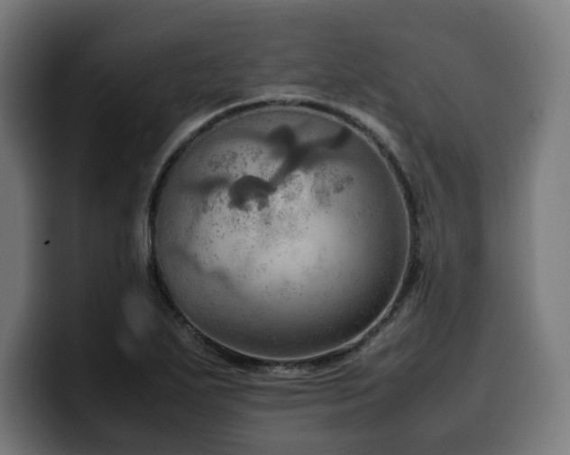 X0000100481271200806131223
