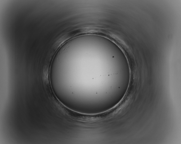 X0000100481273200806131223