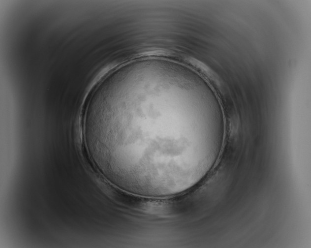 X0000100481274200806131223