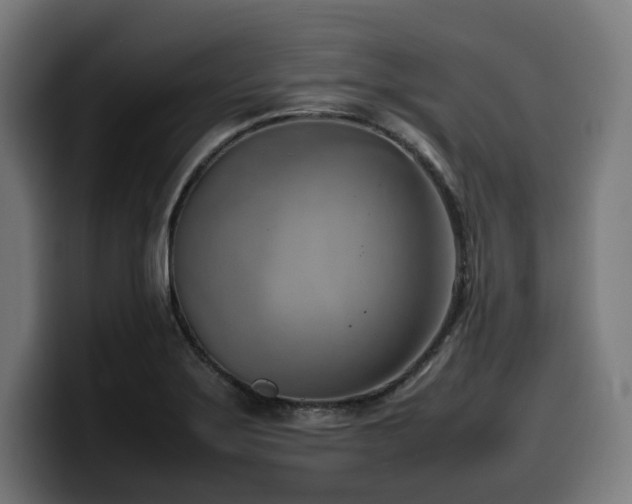 X0000100481275200806131223