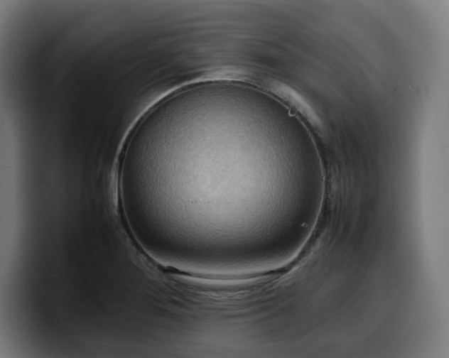X0000100481276200806131223