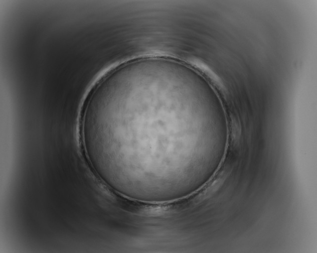 X0000100481278200806131223