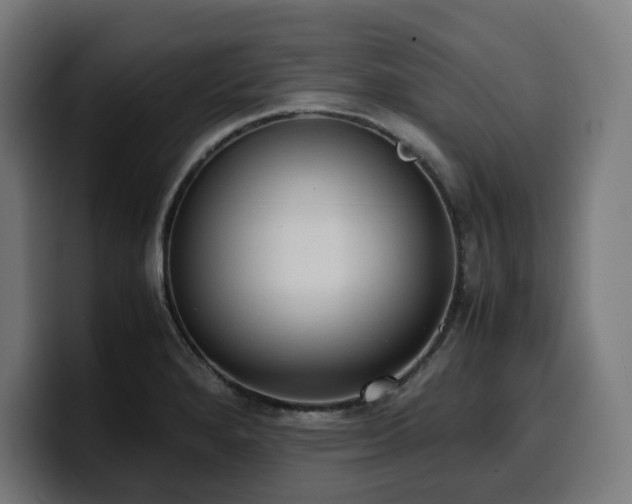X0000100481280200806131223