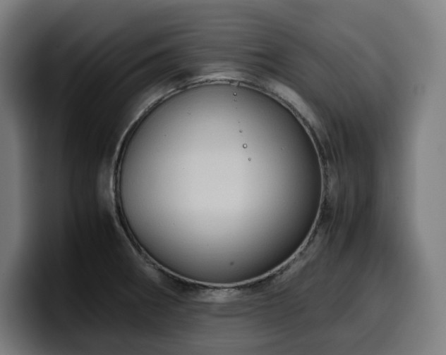 X0000100481282200806131223