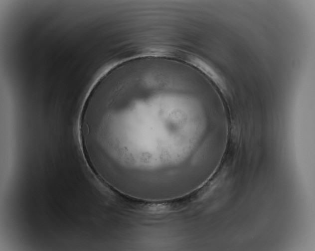 X0000100481283200806131223