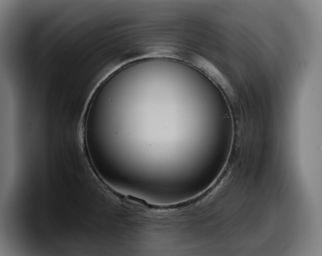 X0000100481284200806131223