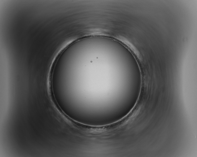 X0000100481285200806131223