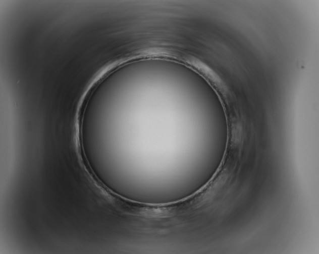 X0000100481286200806131223