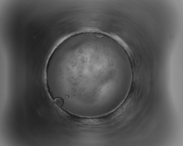 X0000100481287200806131222