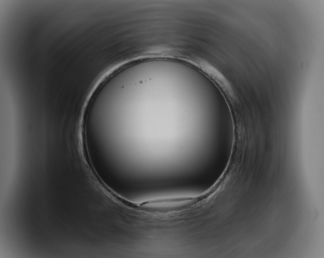 X0000100481288200806131222