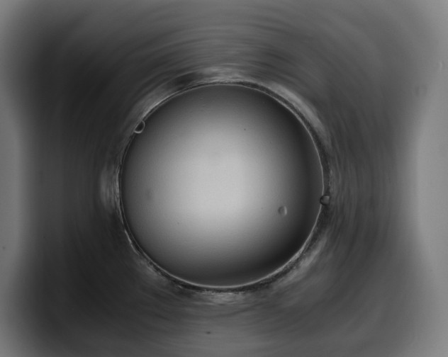 X0000100481289200806131222