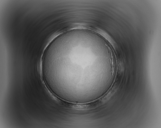 X0000100481290200806131222