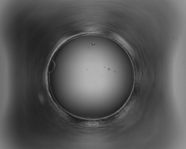 X0000100481291200806131222