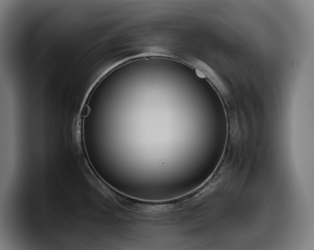 X0000100481292200806131222