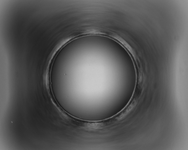 X0000100481293200806131222