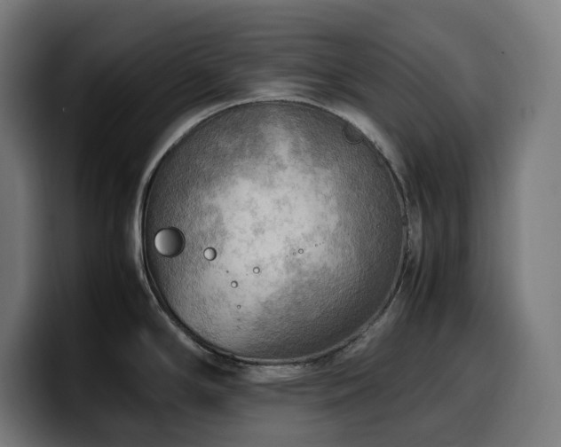 X0000100481294200806131222