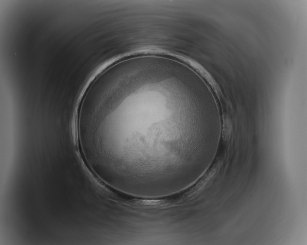 X0000100481295200806131222
