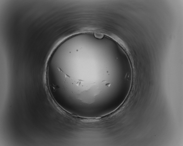 X0000100481296200806131222