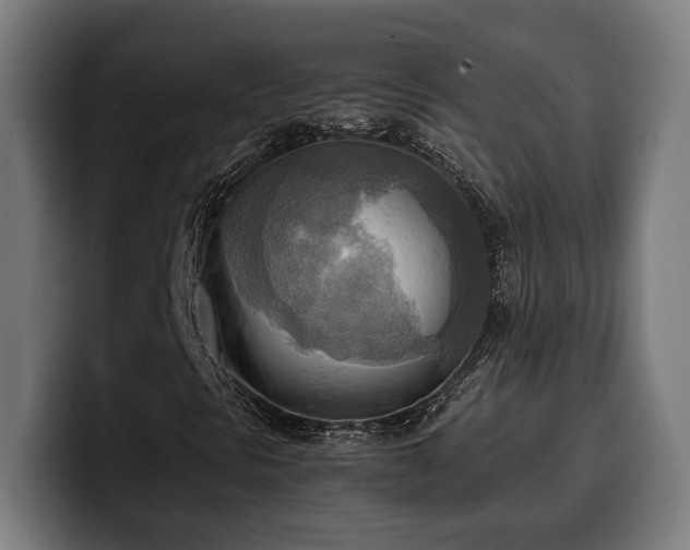 X0000100481297200806131222