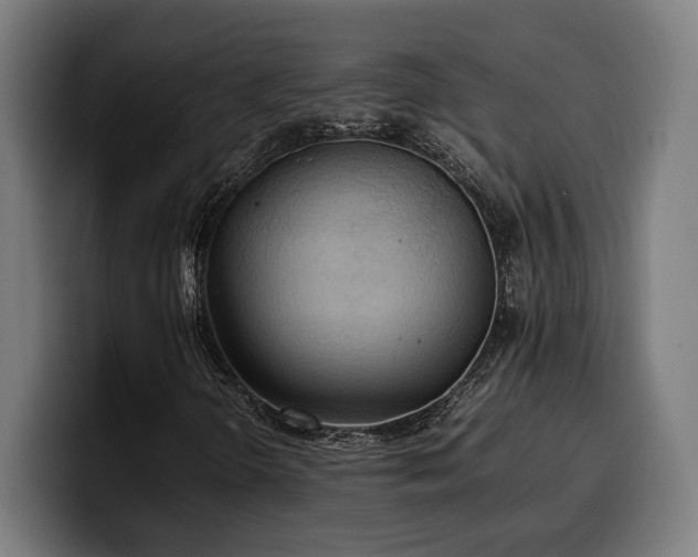 X0000100481298200806131222