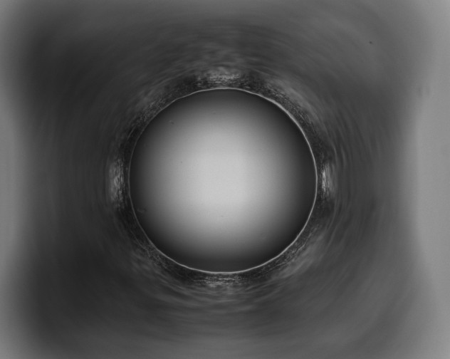 X0000100481299200806131222