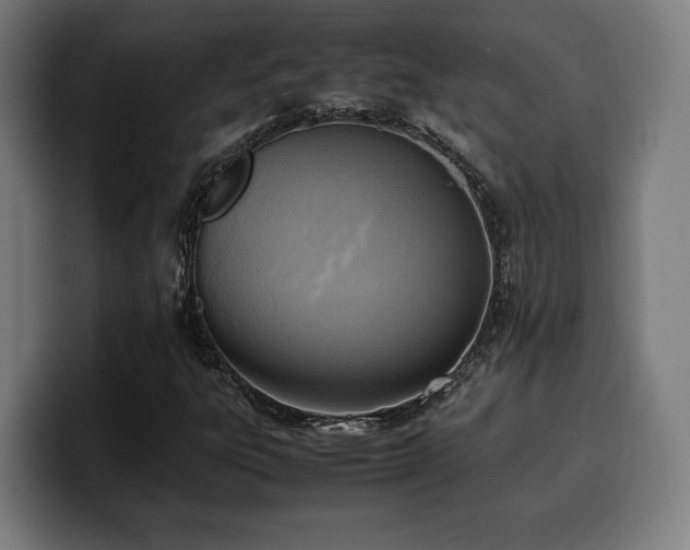 X0000100481303200806131222