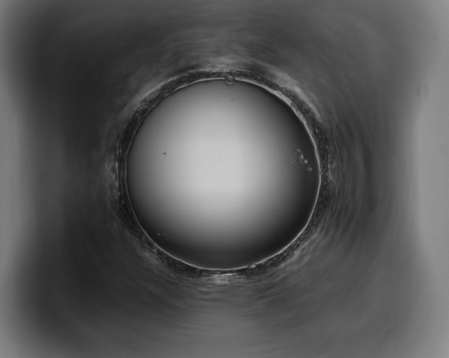 X0000100481304200806131222