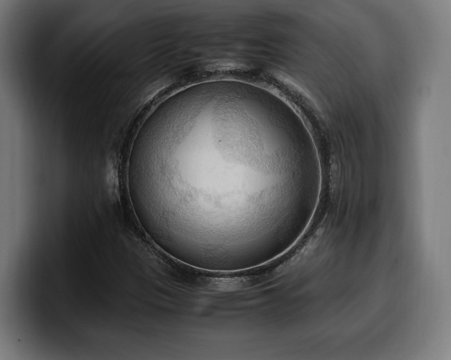 X0000100481305200806131222