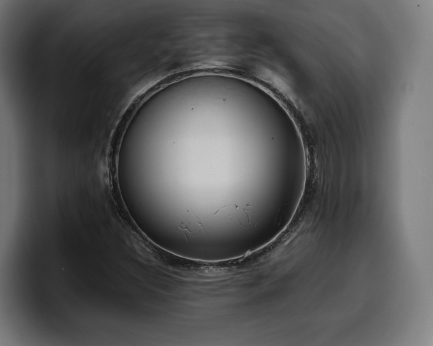 X0000100481308200806131222