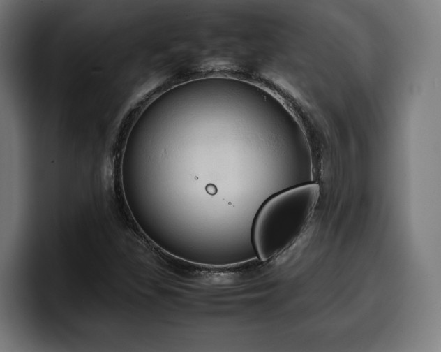 X0000100481309200806131222