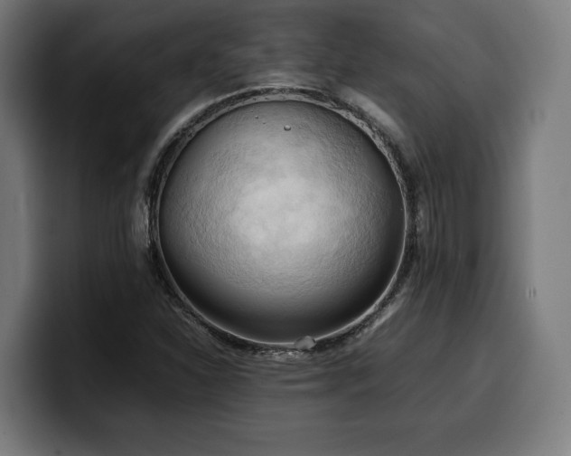 X0000100481310200806131222