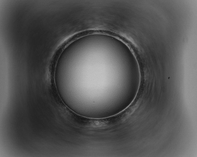 X0000100481311200806131222