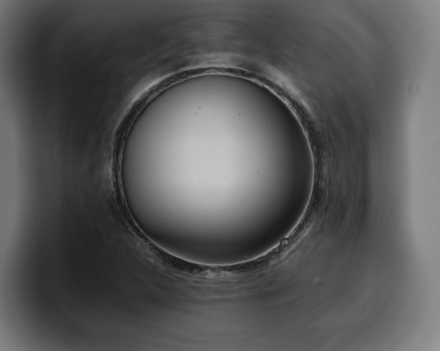 X0000100481312200806131222