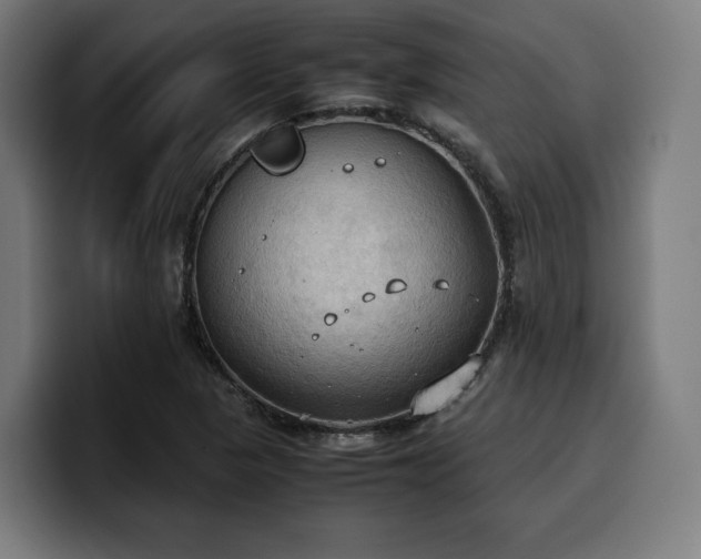 X0000100481313200806131222