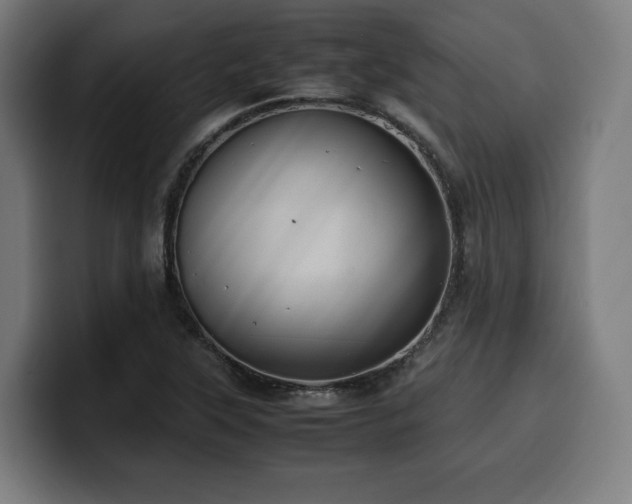 X0000100481315200806131222