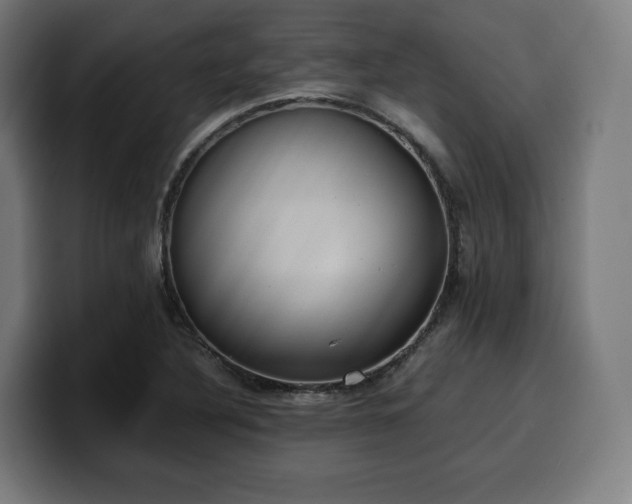 X0000100481316200806131222